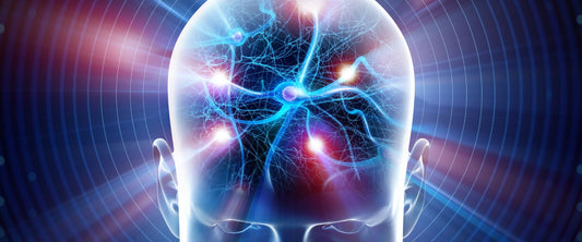 The Role of Natural Nootropics in Boosting Cognitive Function for Athletes