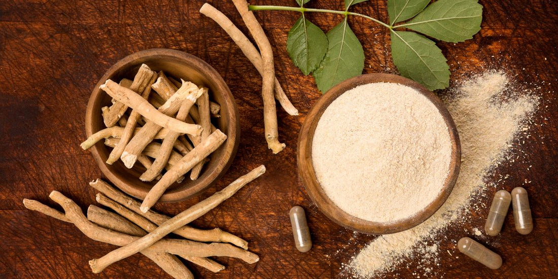 Ashwagandha next to ashwagandha powder on a wooden table