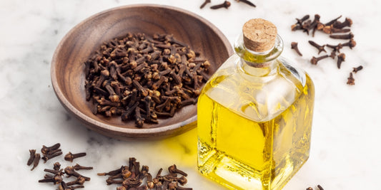 wooden bowl of clove buds next to glass bottle of clove oil