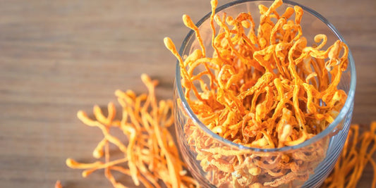 Cordyceps Mushroom in a Glass