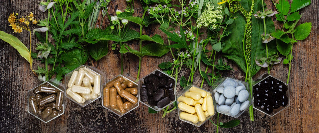 Harnessing the Power of Plant-Based Supplements for Enhanced Workout Performance