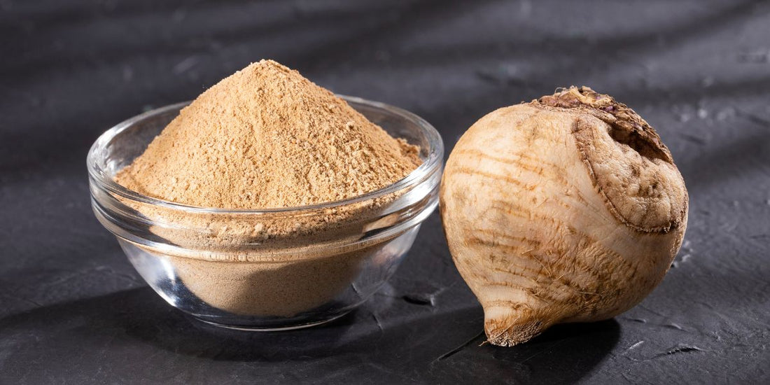 maca root powder in a bowl next to two maca root bulbs