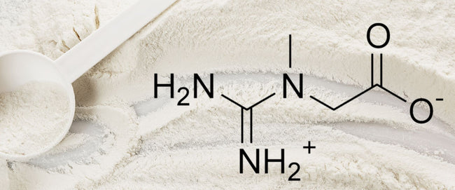 creatine molecular structure