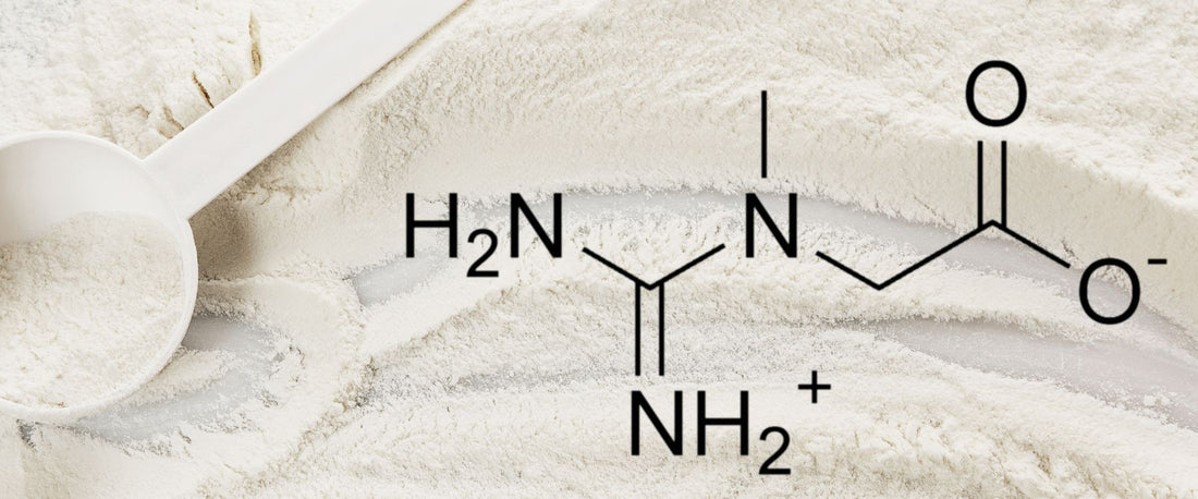 creatine molecular structure