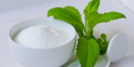 bowl of stevia powder next to stevia plant