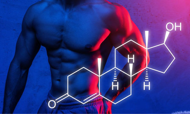 AP Labs' WILDFIRE Natural Pre Workout mushroom enhanced pre workout