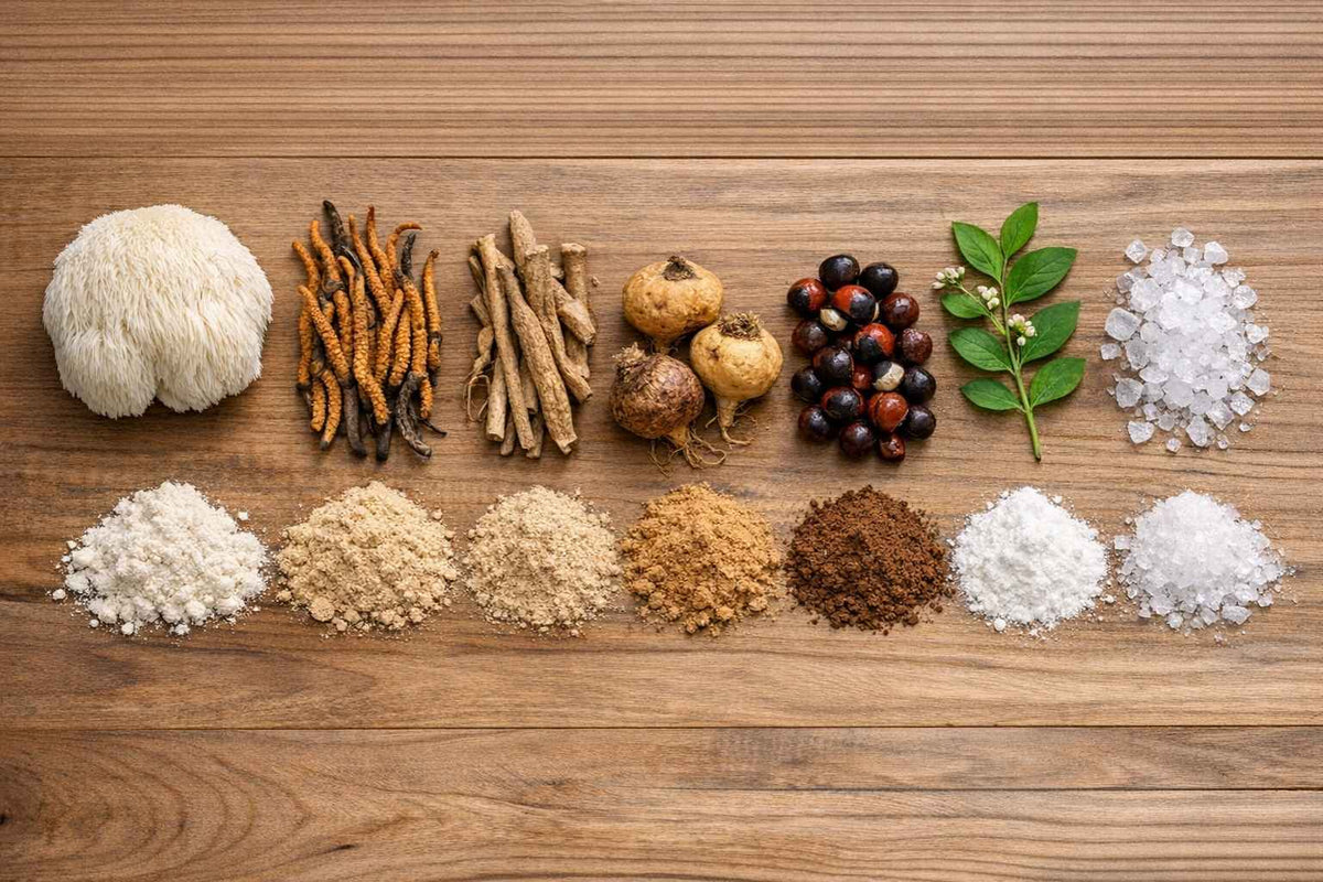 <strong>Raising the Standard for What Goes Into Your Body</strong>